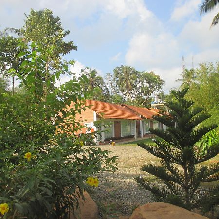 دونغ دونغ Bamboo Garden Resort المظهر الخارجي الصورة