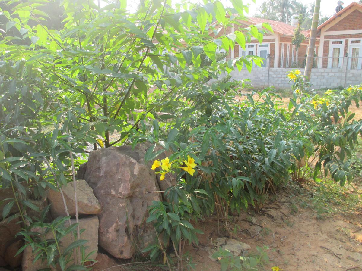دونغ دونغ Bamboo Garden Resort المظهر الخارجي الصورة