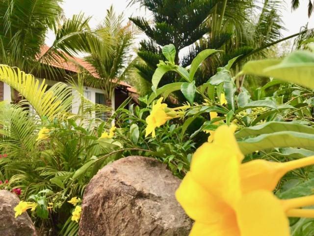 دونغ دونغ Bamboo Garden Resort المظهر الخارجي الصورة