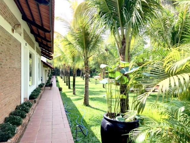 دونغ دونغ Bamboo Garden Resort المظهر الخارجي الصورة